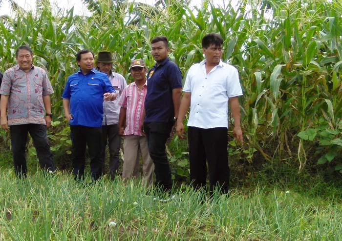 Pasokan Bawang Merah untuk Ramadan dan Lebaran 2017 Aman Terkendali